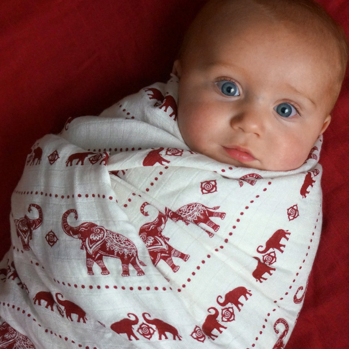 $15 Muslin Swaddle Blankets