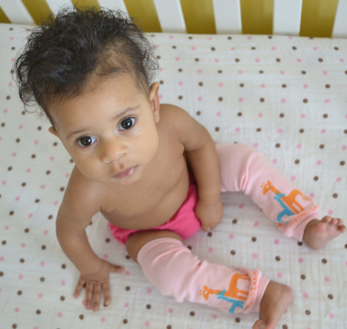 Pink Giraffes Newborn Leg Warmers