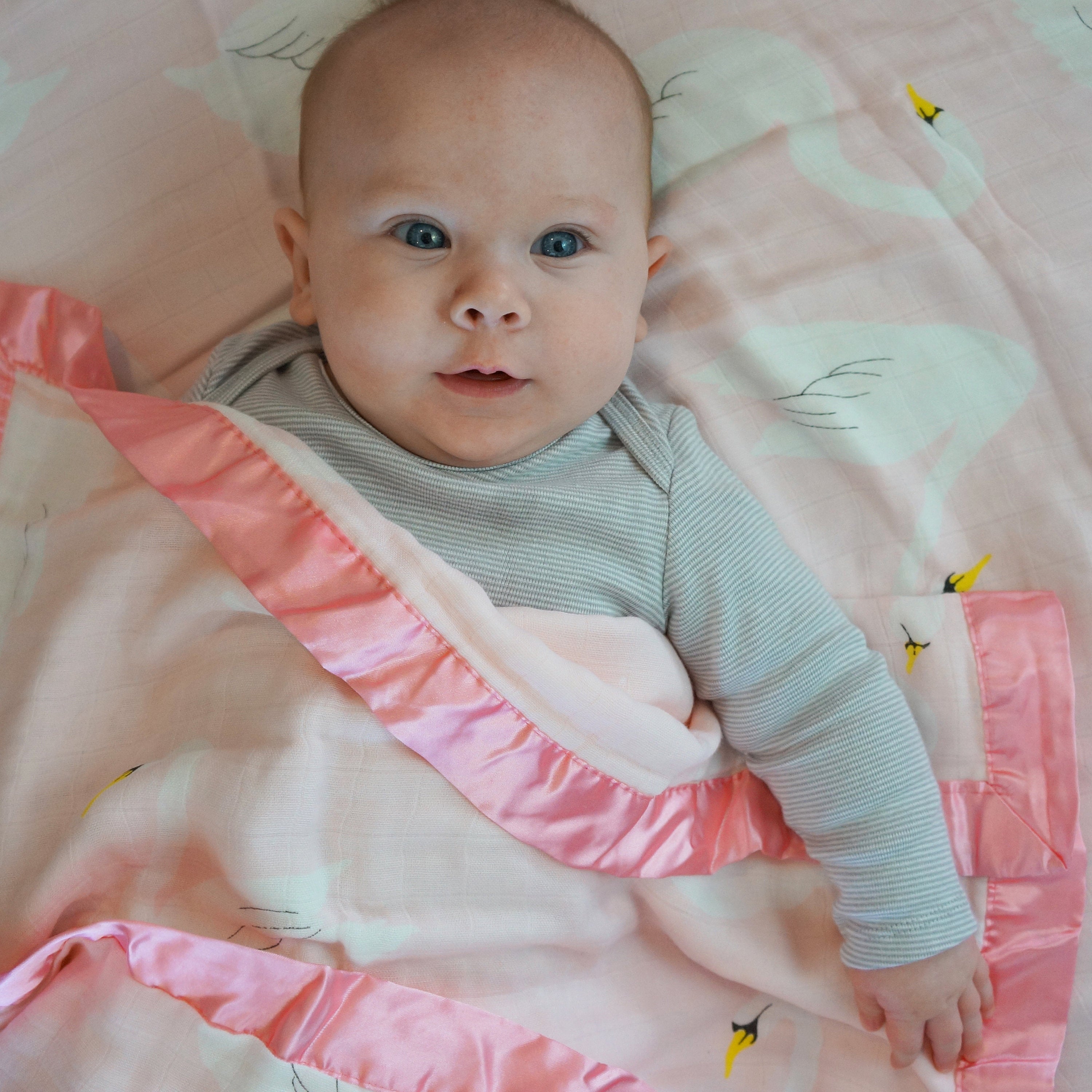 Swans, Triple Layers Swan Blanket with Satin or Cotton Trim